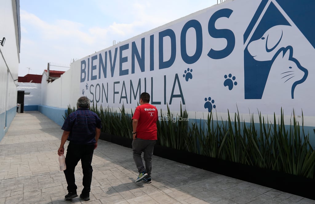 Con el objetivo de crear conciencia sobre los animales abandonados en las calles de México, se inauguró en la capital del país el primer hotel para perros y gatos que viven esta situación, el cual brinda estancia, veterinaria, esterilización, estética y adopción de manera gratuita.