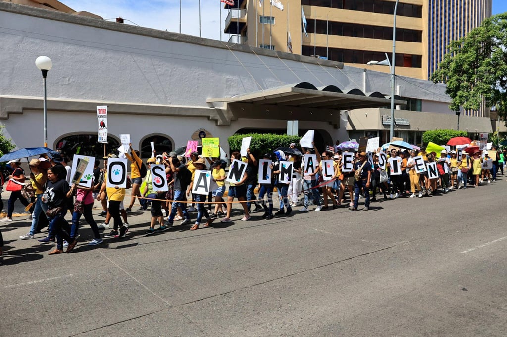 Miles de personas se manifestaron este domingo en calles de la Ciudad de México y otras ciudades para exigir un alto a la violencia contra los animales ante los cada vez más frecuentes casos de maltrato y crueldad que se han reportado en el país, además de penas más severas contra quien cometa estos delitos.