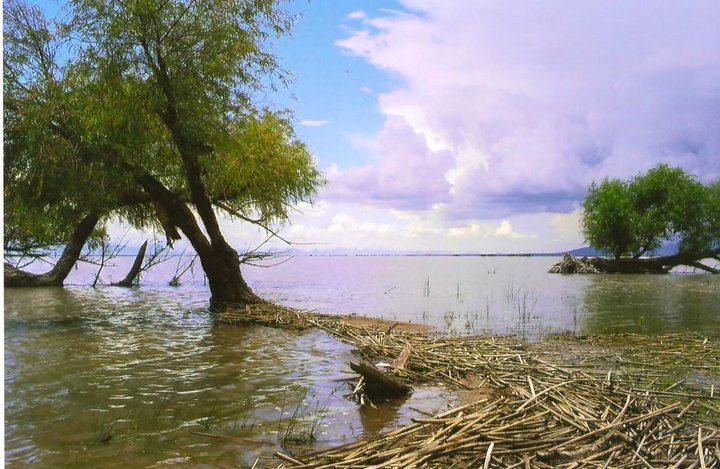 Invitan a concurso de fotografía 'Laguna de Santiaguillo, su entorno'