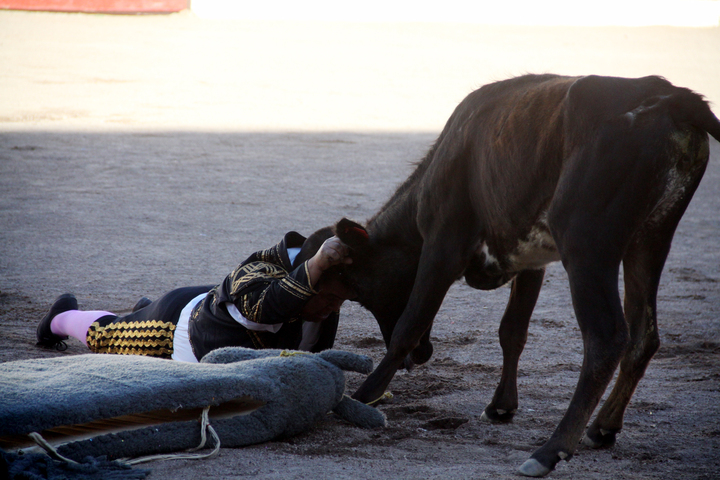 Enanitos conquistan Durango