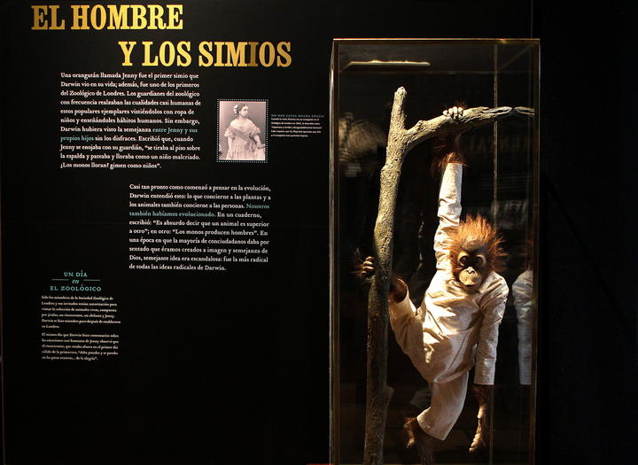 Buscan acercar a mexicanos a la vida y obra de Darwin