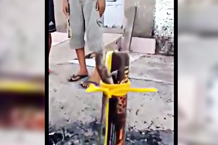 Niños lastiman lagartija para diversión