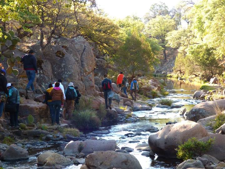 Viajan a prácticas alumnos del ITVG