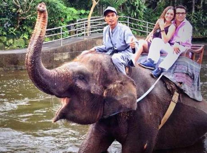 Critican a Sherlyn por foto sobre elefante