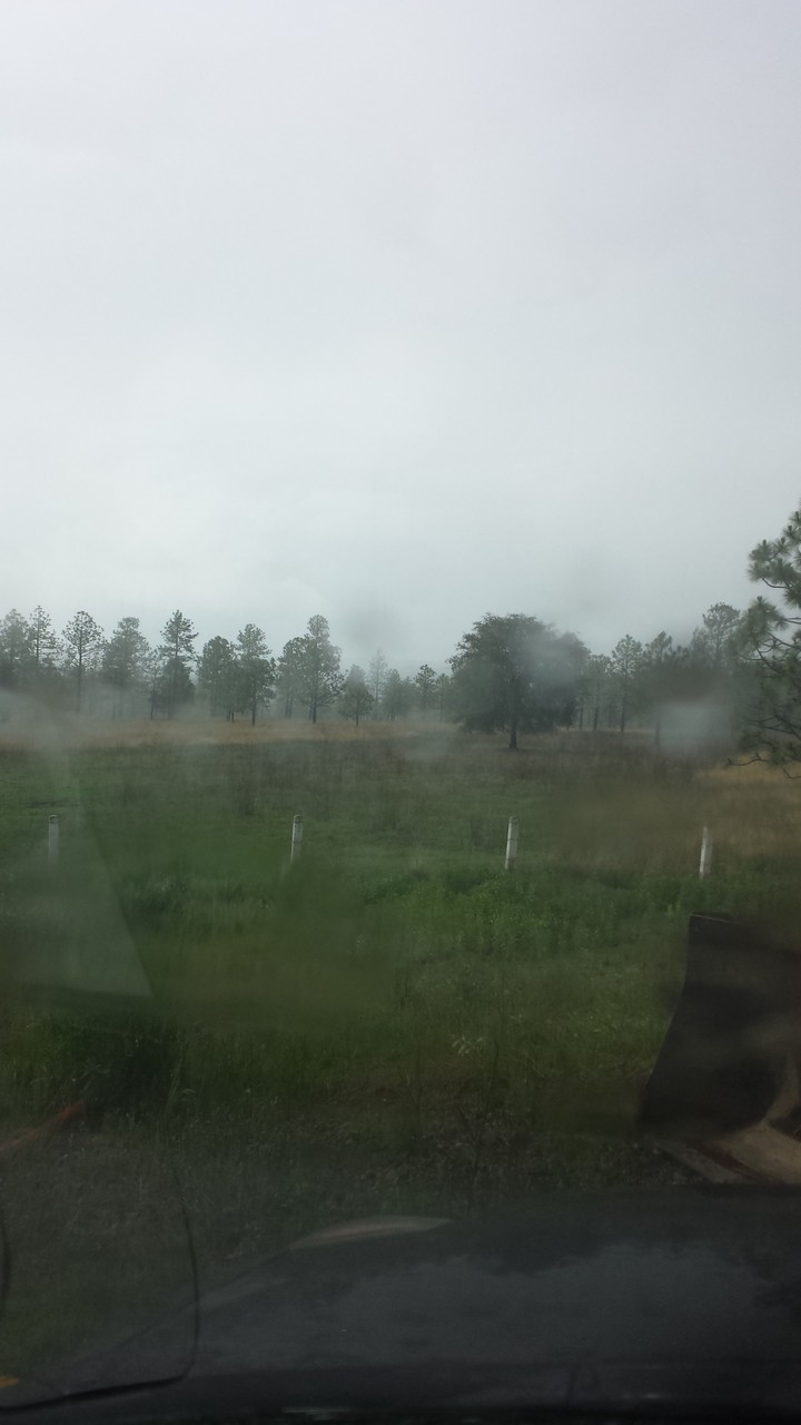 Lluvia, para Valle, Llanos y la Sierra