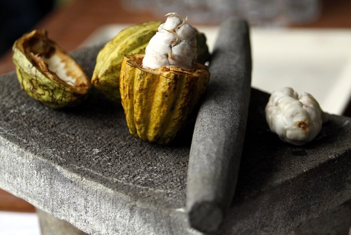 Un museo para el chocolate en Yucatán
