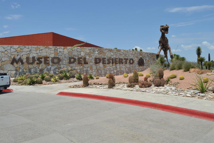 Hallan en Coahuila cementerio de dinosaurios