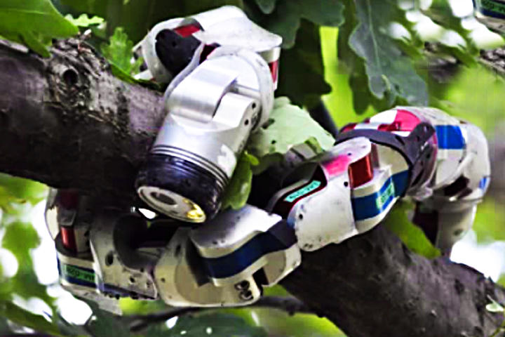 Crean robot que imita movimiento de serpientes