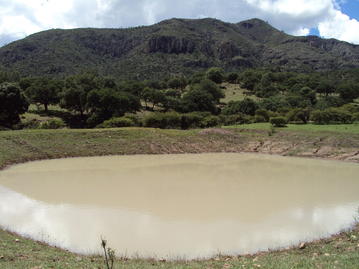 Poca captación de agua en bordos