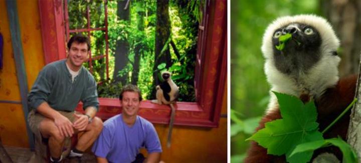 Fallece el famoso lémur de Zoboomafoo