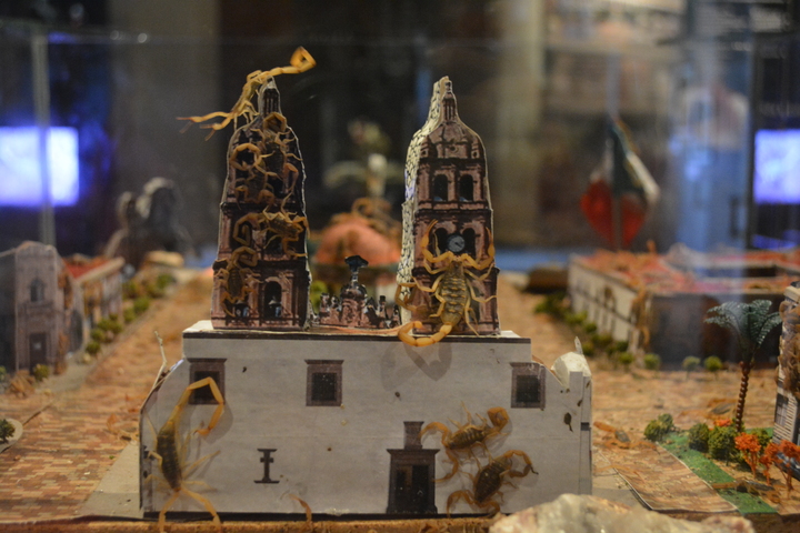 Visita el primer alacranario