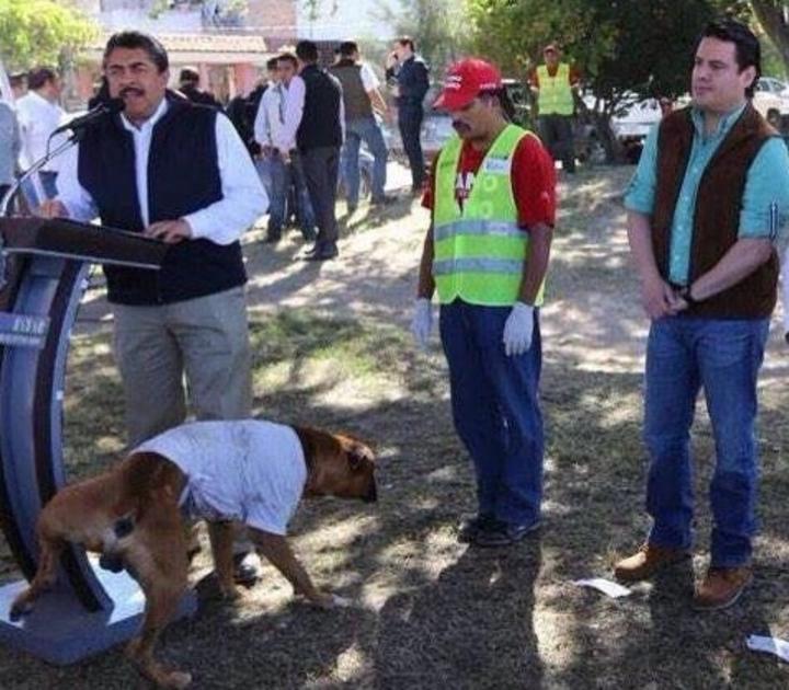 Perro orina a alcalde de Guadalajara en evento