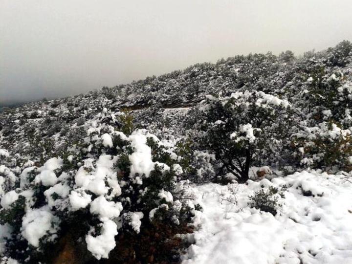 Continúa nevada zona sierra de Canelas