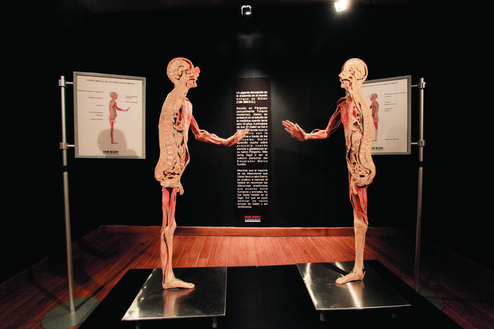 Inauguran ‘Our body, el Universo dentro’