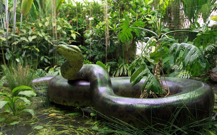 Boa prehistórica revela efectos del cambio climático