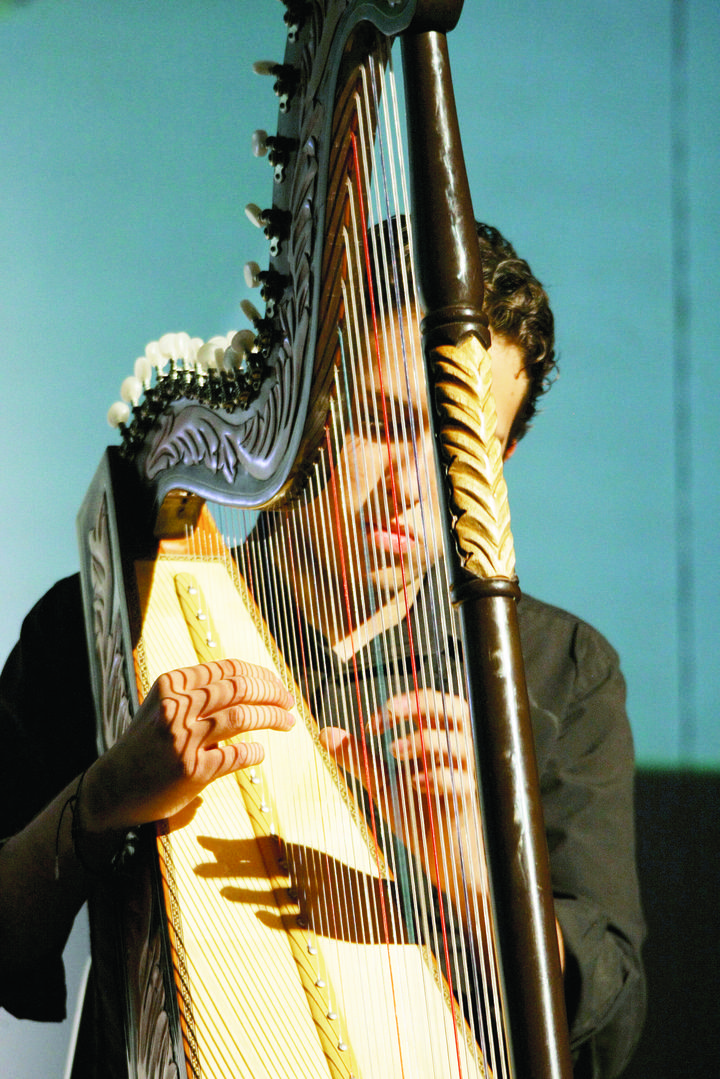 Diez años de arpas duranguenses