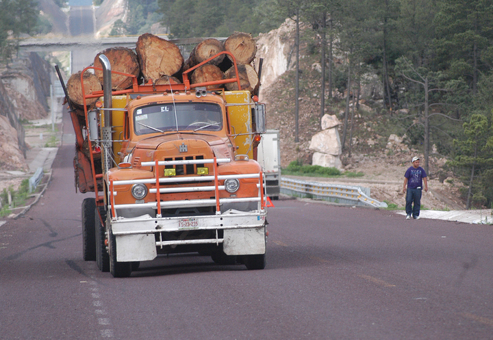 Profepa asegura madera ilegal