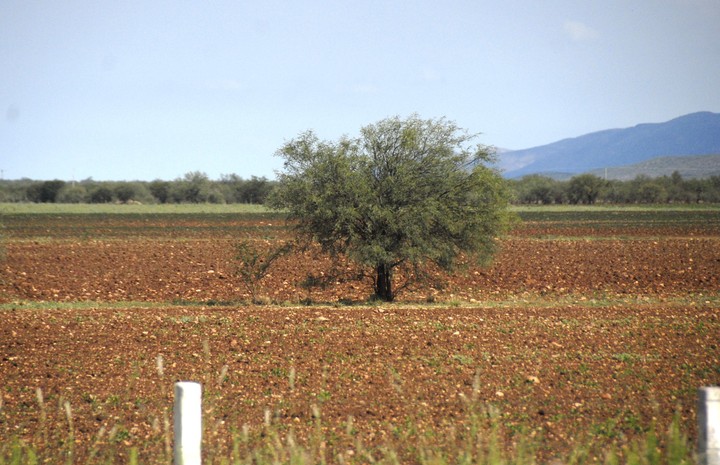 Viola la ley, hunde al campesino y lo protegen