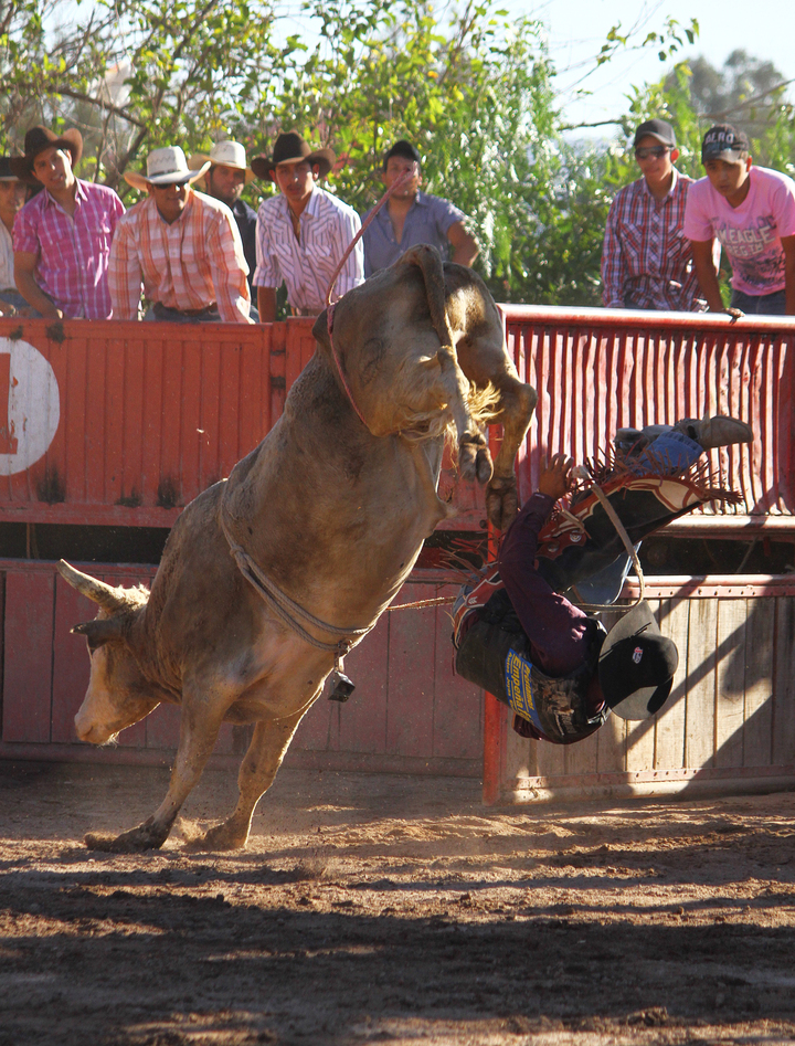 Jack Pot sube la adrenalina del rodeo
