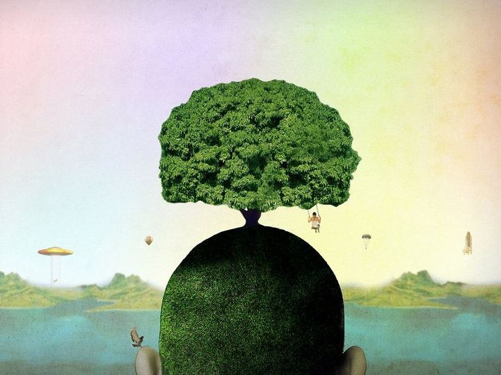 Arte en la cultura forestal