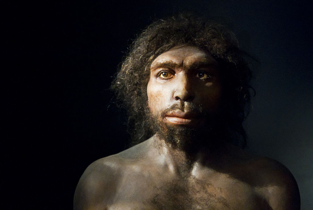 Homo Antecessor ya es mayor de edad
