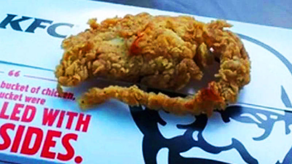 Encuentran rata en pedido de KFC