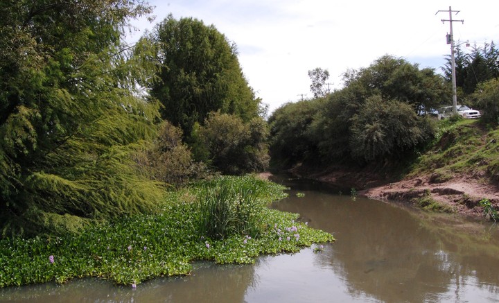 Siguen contaminando el Tunal