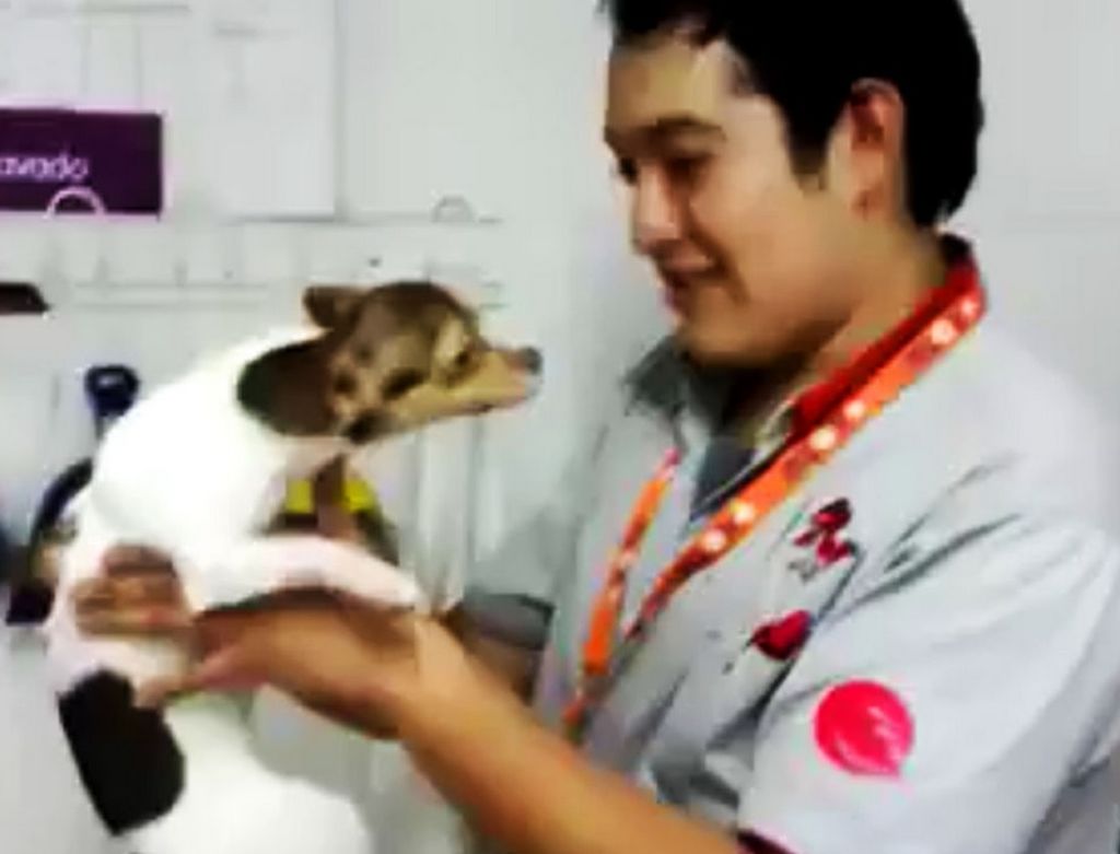 Clausuran tienda de Maskota por maltrato animal