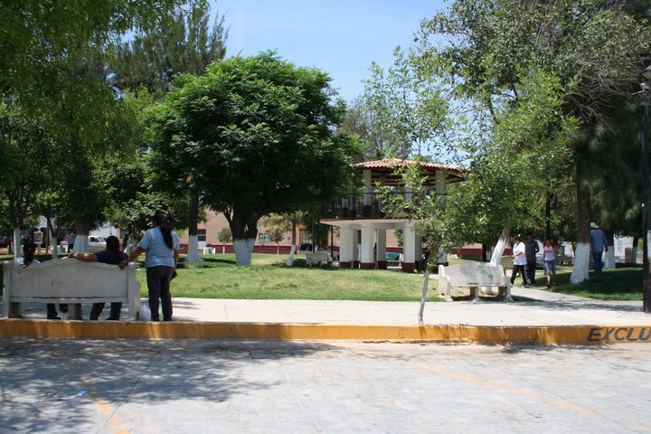Elevan a feria regional en Nazas