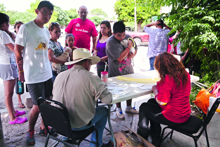 Pretenden evitar la fiebre manchada