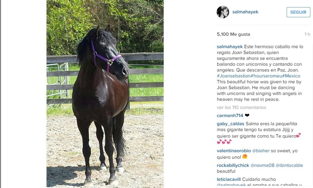 Salma presume caballo que le regaló Joan Sebastian