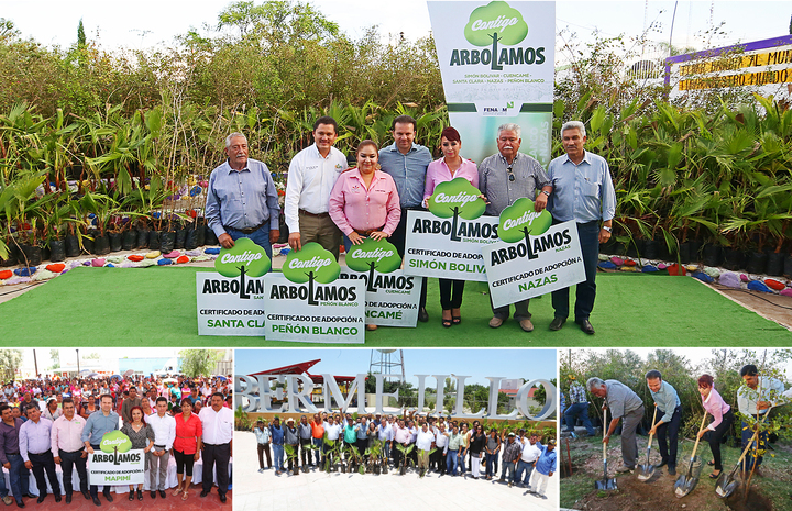 Refuerza Esteban forestación en Semidesierto