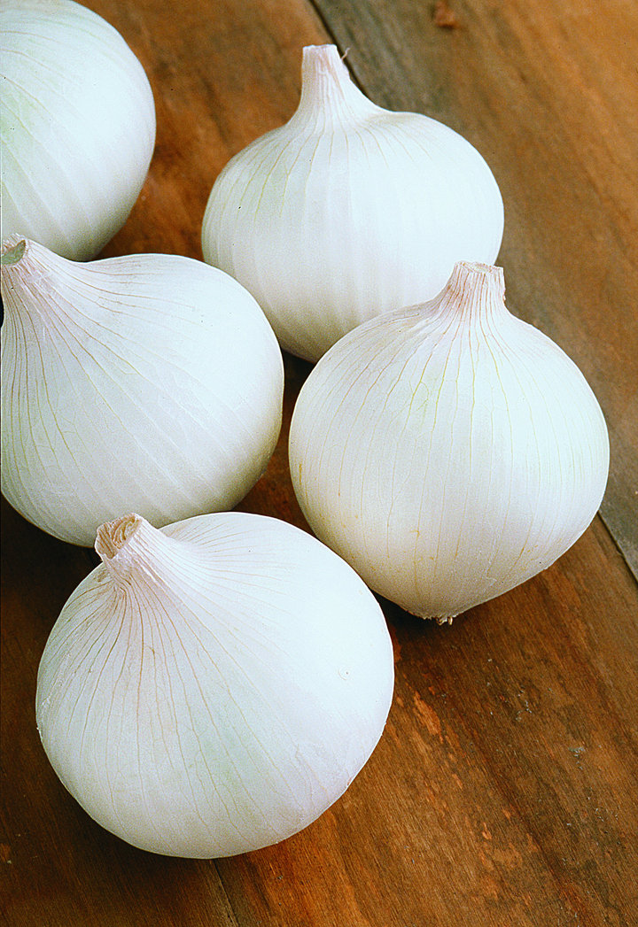 Usos y tipos de cebolla