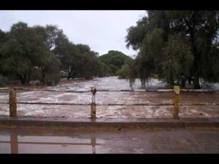 Temor por presa en Súchil