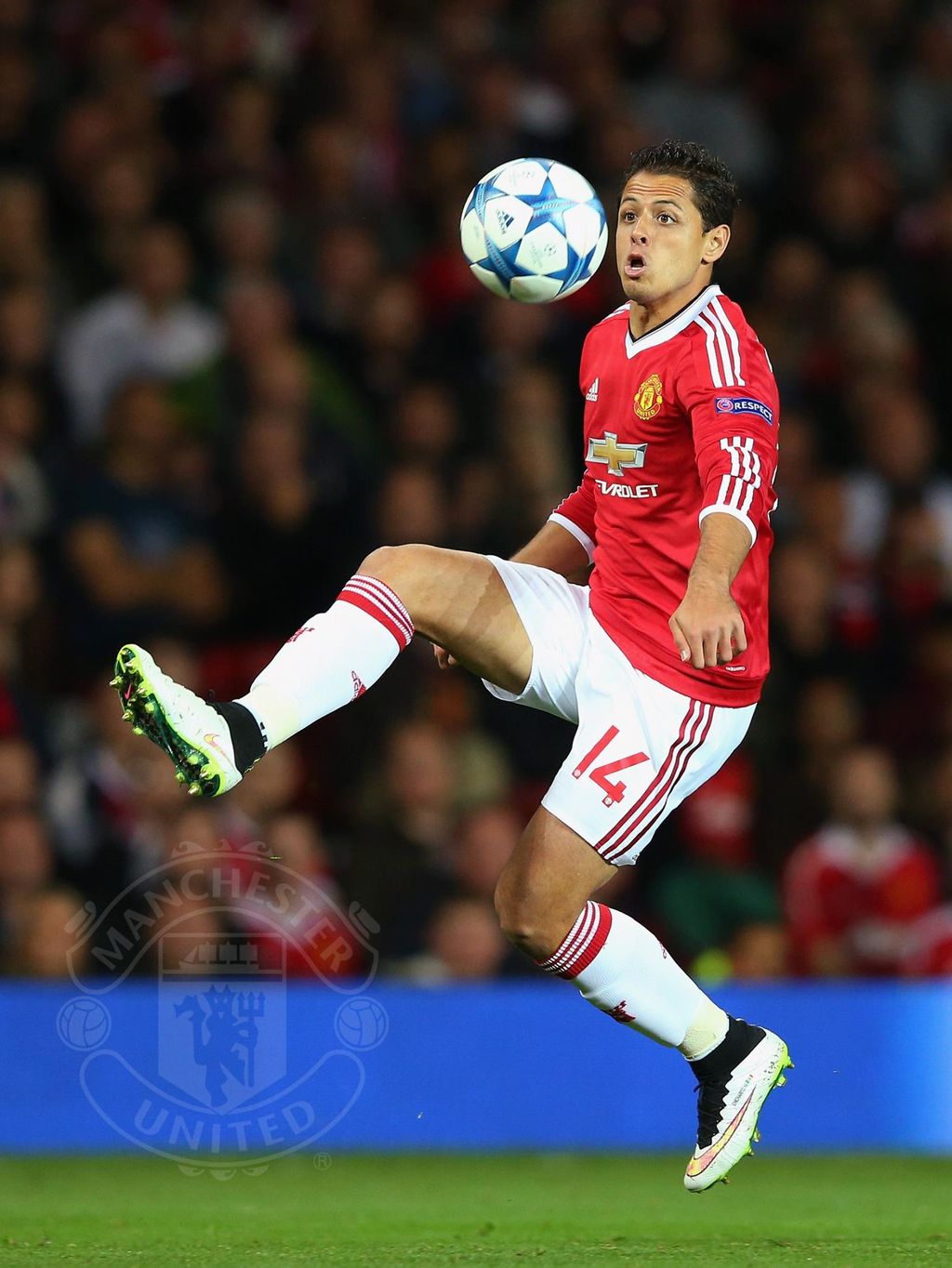 Destacan el regreso de 'Chicharito' a Old Trafford