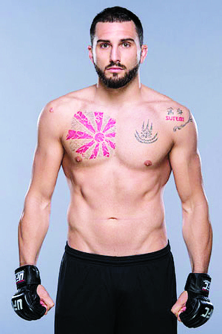 'Wasabi', listo para pelear