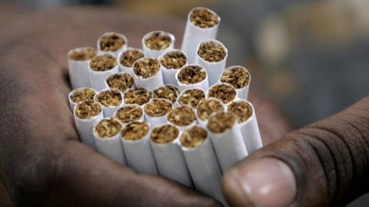 Destruyen 13 millones de cigarros