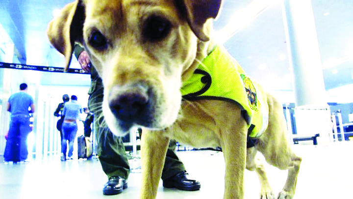 ‘Alerta Aeropuerto’, de estreno