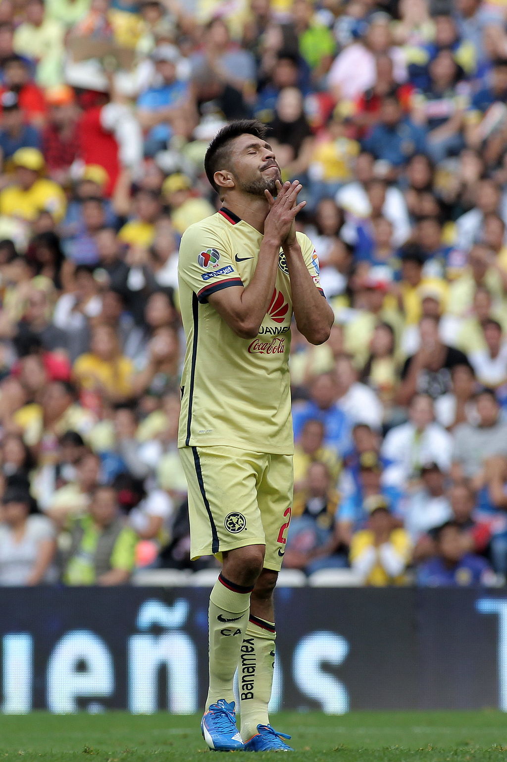 Un Gallo de pelea derrota al América en el Azteca