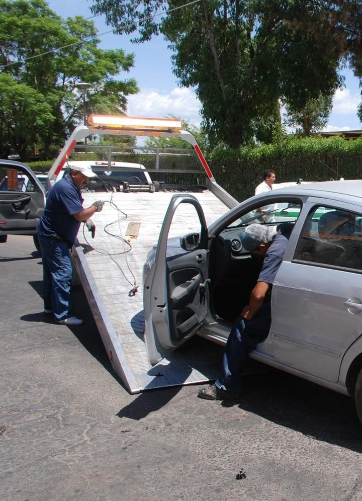 Tumba árbol y escapa