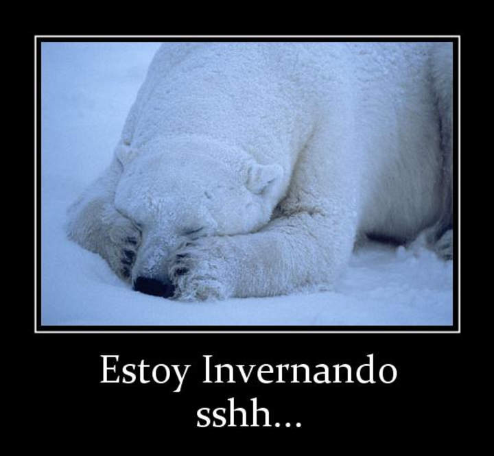 ¡No te pongas a invernar!