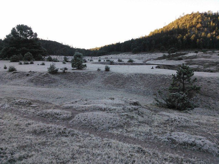 Piden declaratoria de emergencia