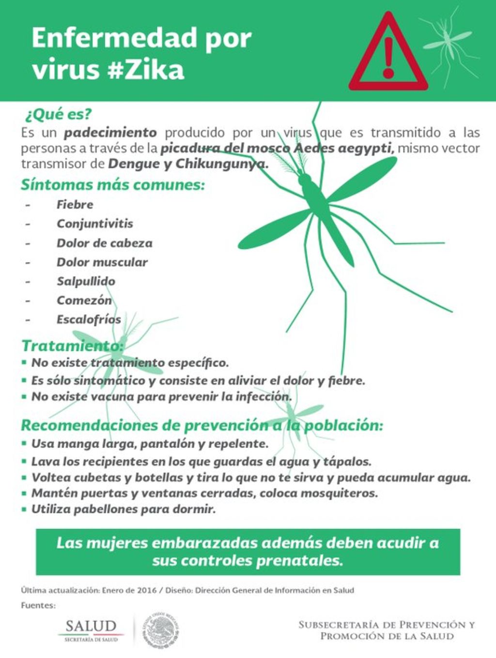 Recomendaciones para evitar el virus del Zika