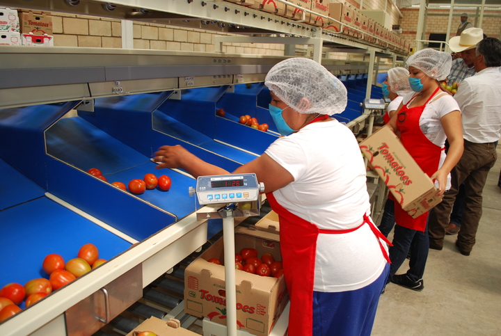 Impulsarán los agronegocios