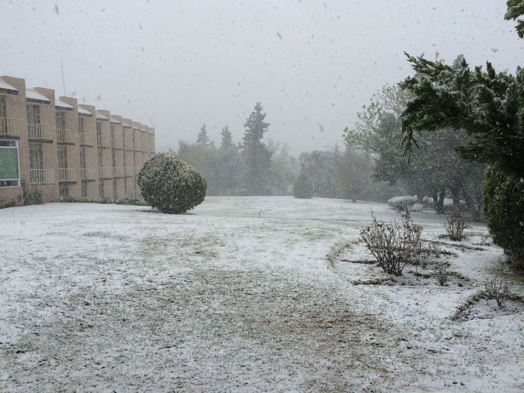 Declaran emergencia en 45 municipios de Zacatecas por nevada