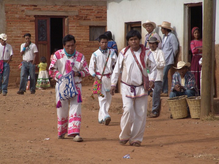 Indígenas se acaban el venado