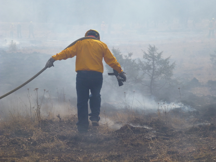 2016, año crítico por incendios