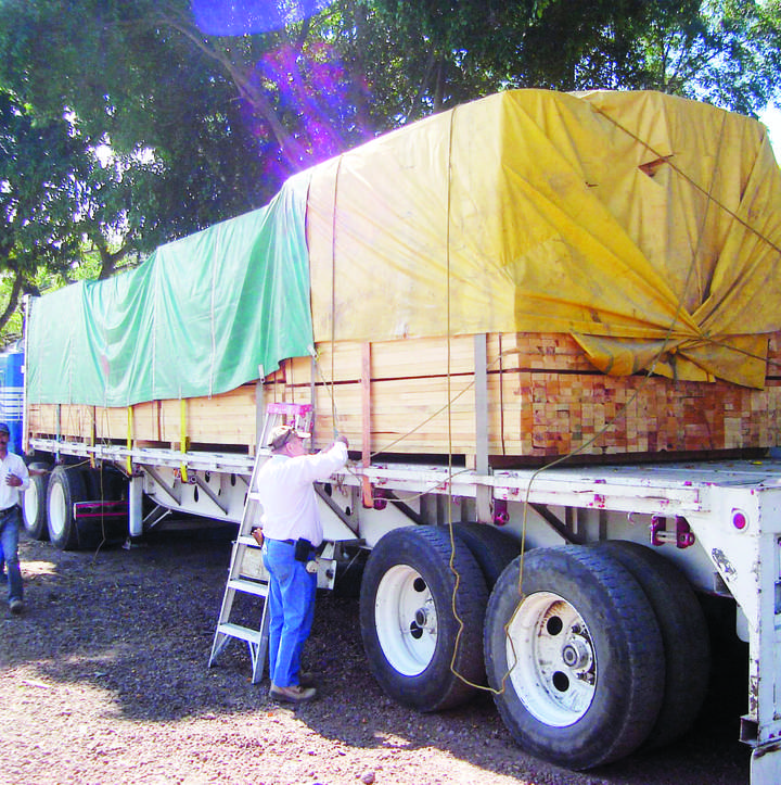 Durango sigue como líder en madera en rollo