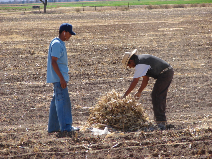 Llaman a 'rescatar' el campo