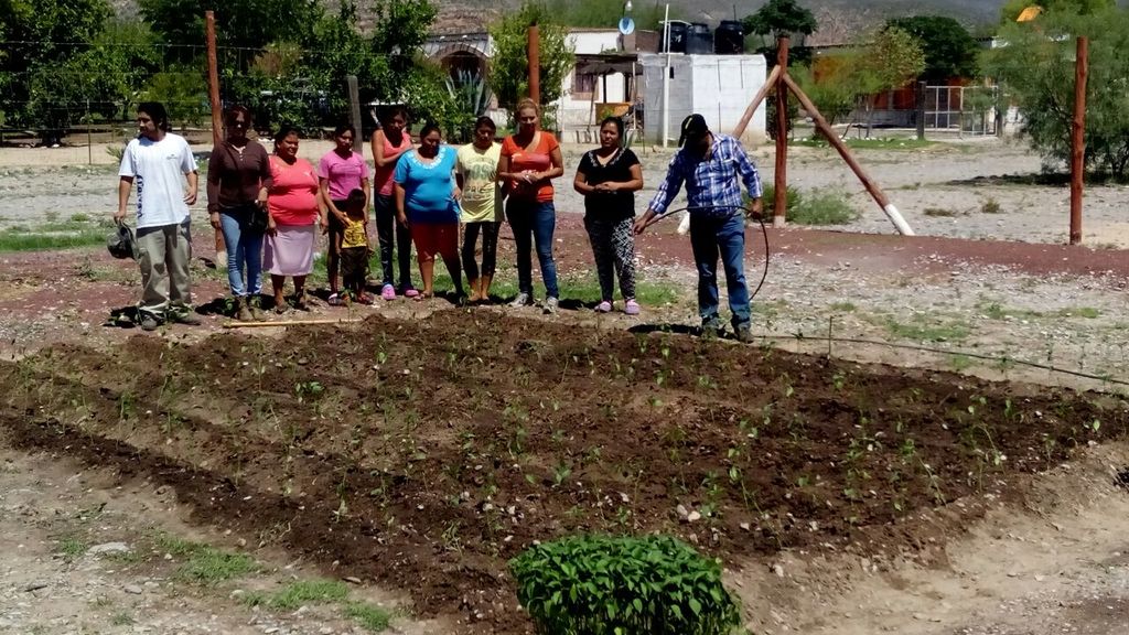 Realiza UJED fase práctica para instalar huertos de traspatio